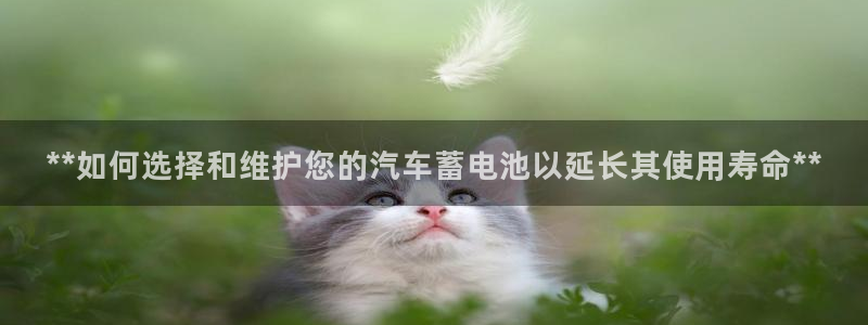 优发国际官网下载安装