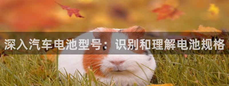 优发国际官方网手机版入口