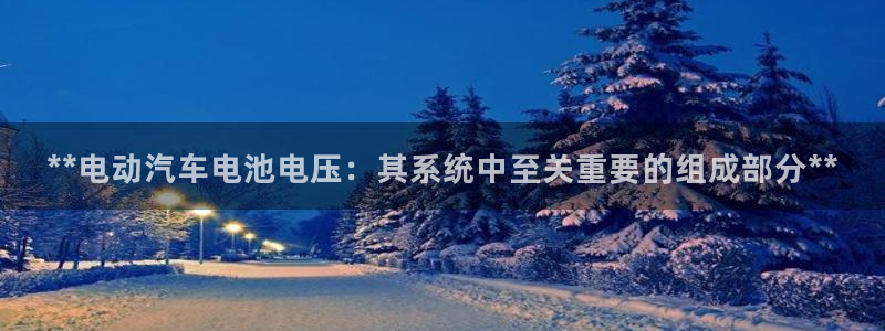 优发国际下载安装app