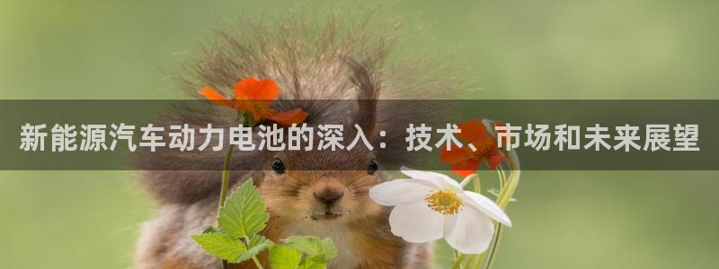 优发国际手机客户端下载安装