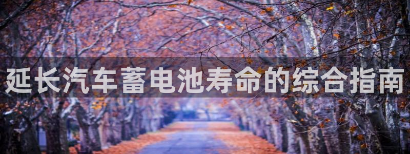 优发国际这个平台怎么样啊