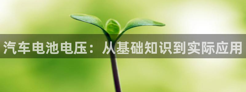 优发国际登陆u