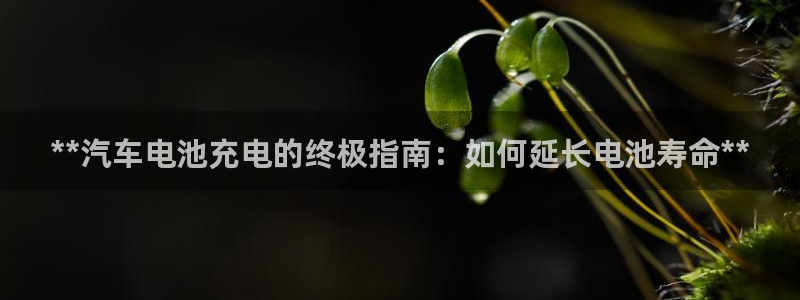 优发国际网站官网