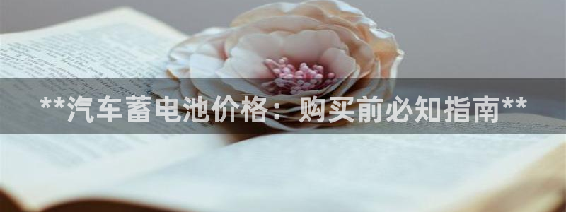 优发国际平台g8怎么样