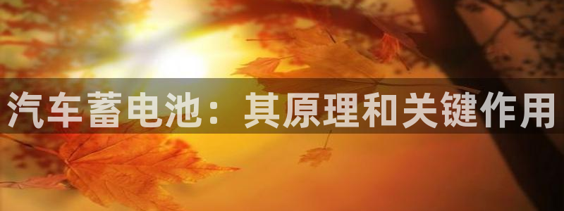 优发国际手机客户端下载安装苹果