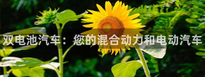 优发国际手机版网站下载