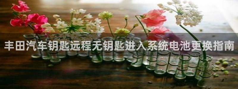 优发国际下载