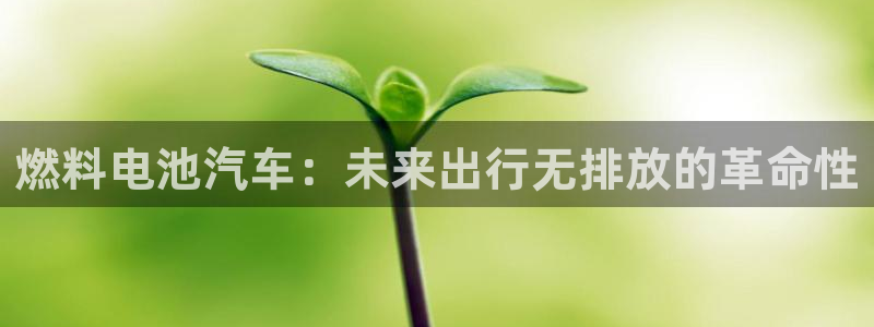 优发国际官网下载安装手机版