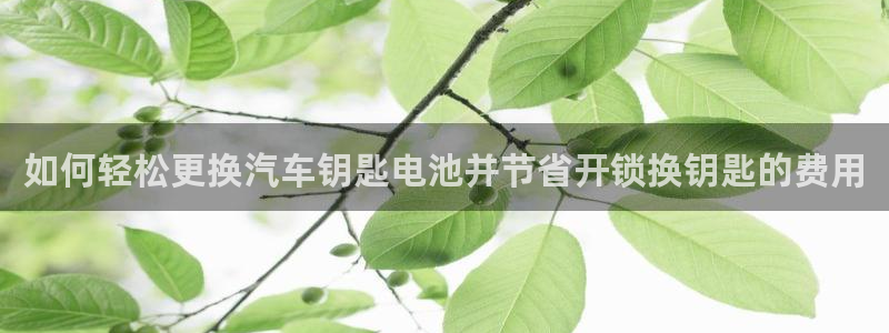 优发国际平台u8