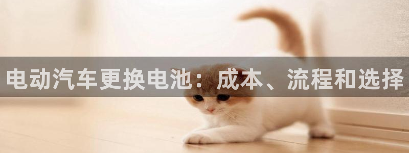优发国际手机版官网入口