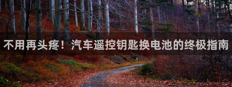 优发国际是大平台吗知乎