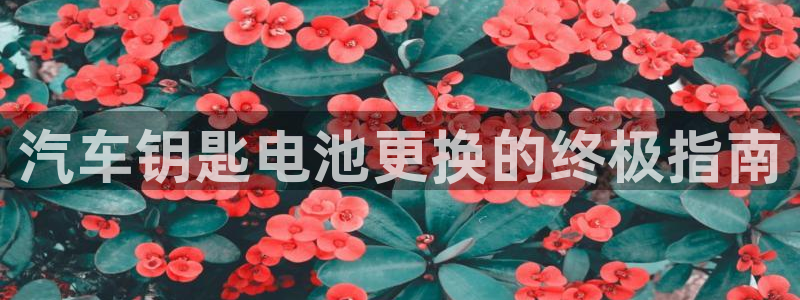 优发娱乐国际线上