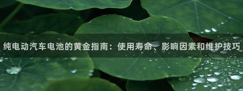 优发国际手机版