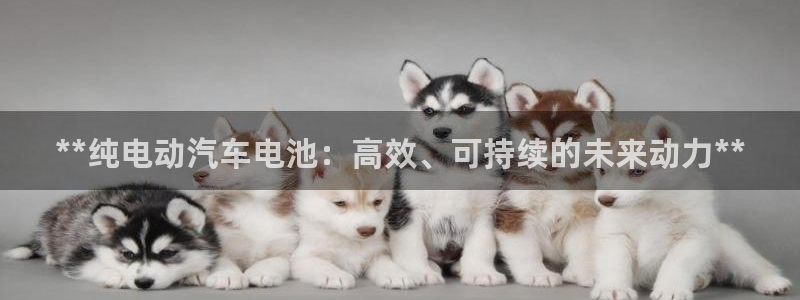 优发国际官方网手机版app