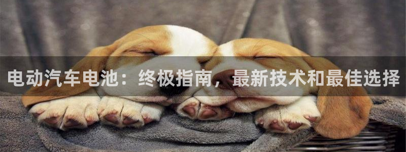 优发国际网官网17k8