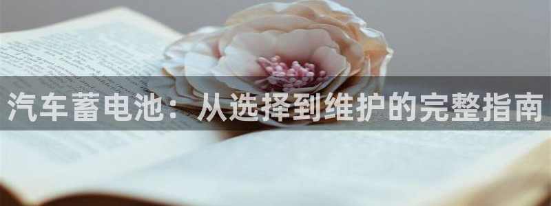 优发国际app官网下载安装