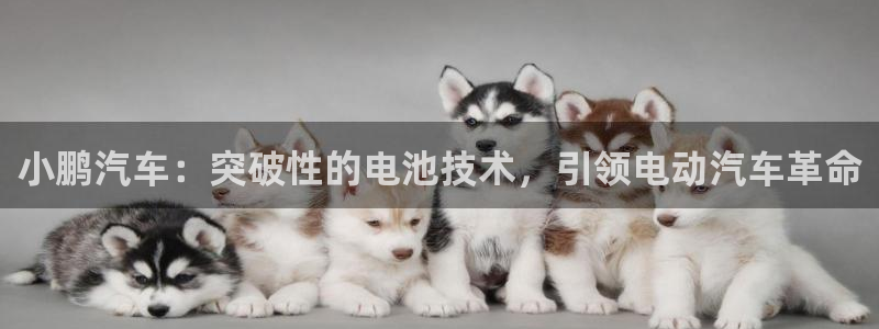 优发国际平台手机版下载安装