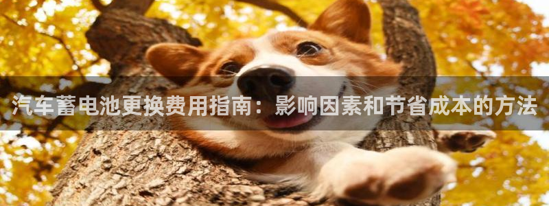 优发国际是大平台吗还是小平