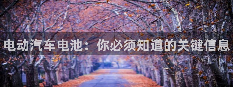 优发国际电话