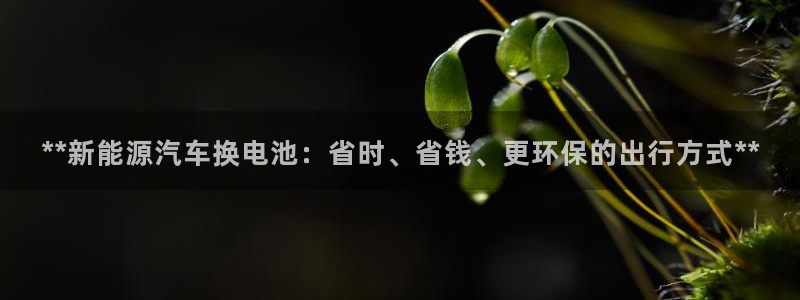 优发国际手机版网站下载
