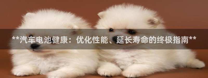 优发国际手机版客户端