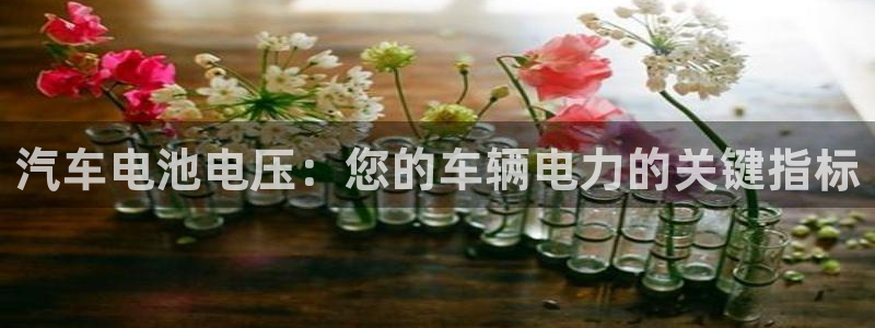 优发国际官方网手机版下载安卓