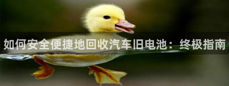 优发国际安卓版下载安装最新版