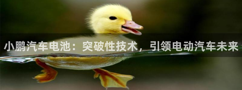 优发国际youfa966