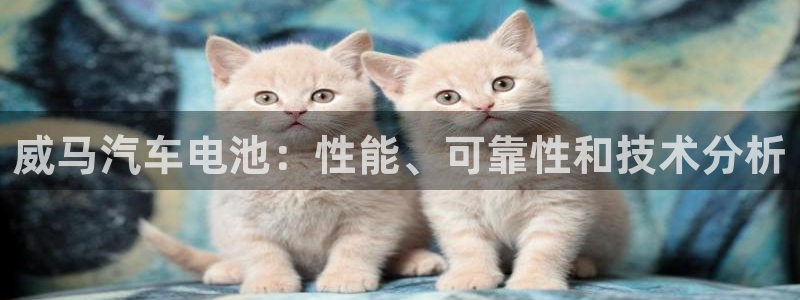 优发国际手机登录下载安装