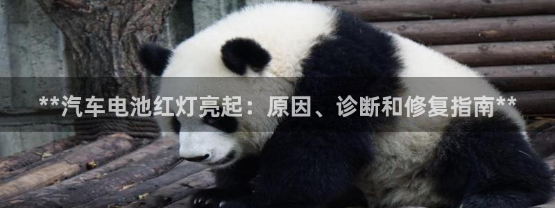 优发国际合并到哪里了啊