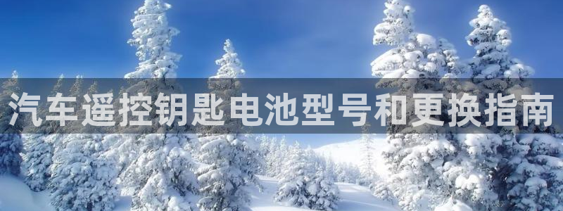优发国际平台APP
