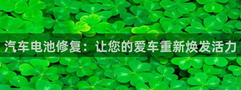 优发国际网站多少