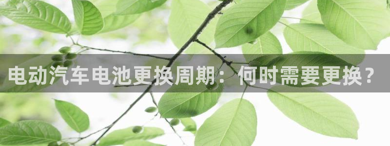 优发国际手机安装登录不了