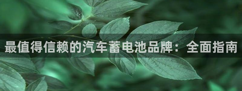 优发国际首页首页登录