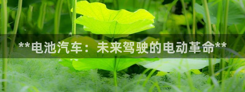 优发国际登录app