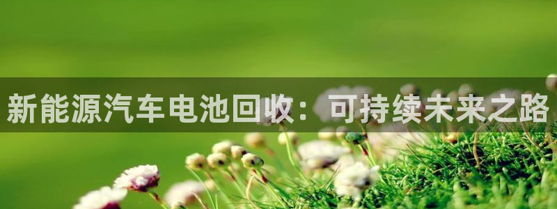 优发国际集团股份有限公司招聘