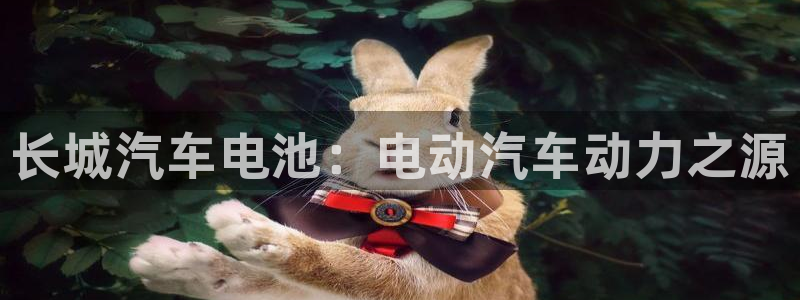 优发国际登陆