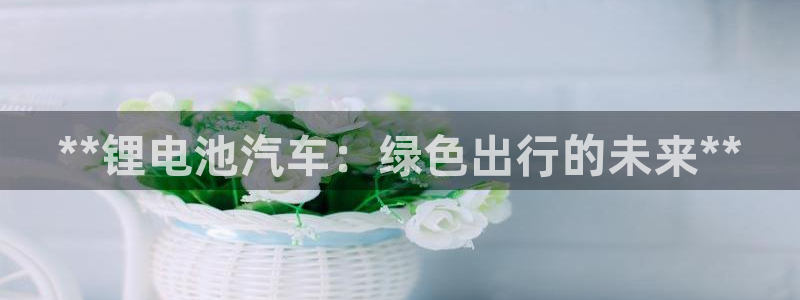 优发国际是大平台吗