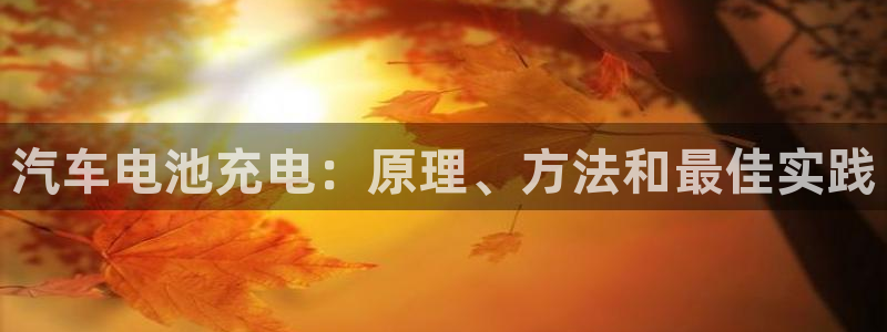 优发国际官网官方网址