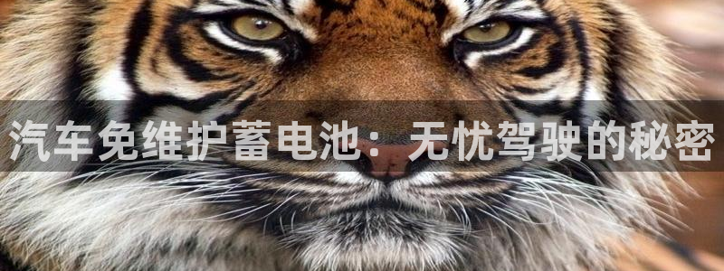 优发国际手机客户端