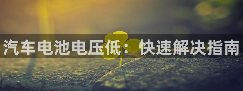 优发国际手机登录下载安装官网