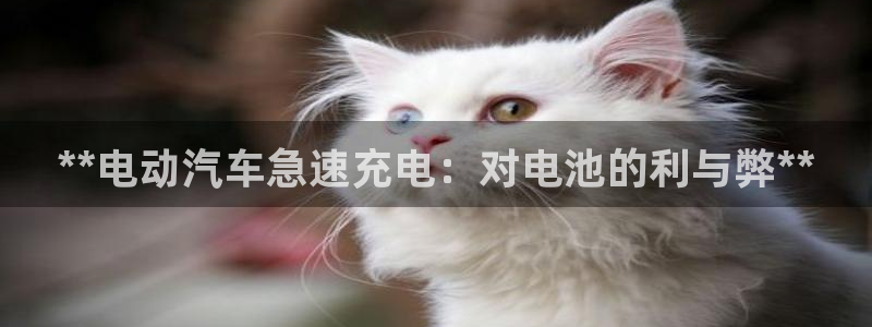 优发国际线上娱官网