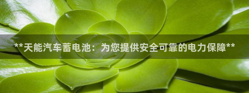 优发国际登录