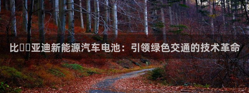 优发国际app官网下载安装苹果
