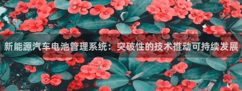 优发国际官方网手机版下载安装