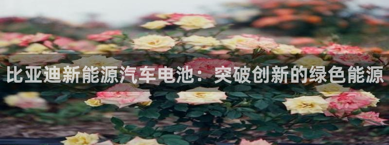 优发国际安卓版下载安装教程