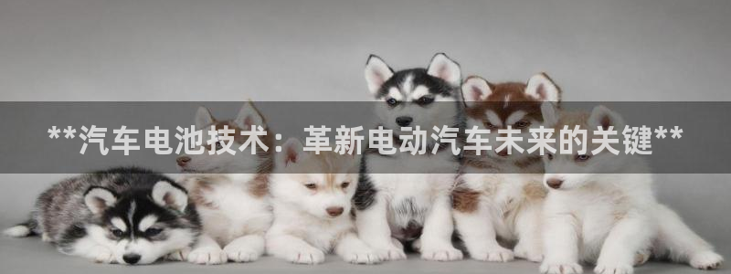 优发国际官网平台