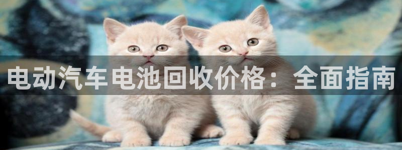 优发国际登陆u