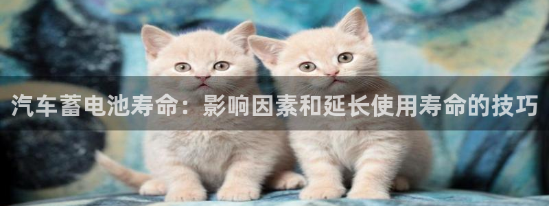 优发国际手机版网站下载