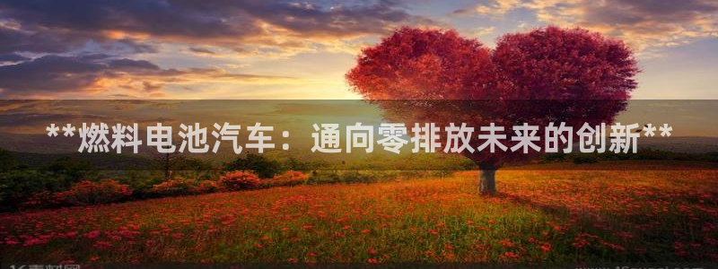 优发国际手机安装登录